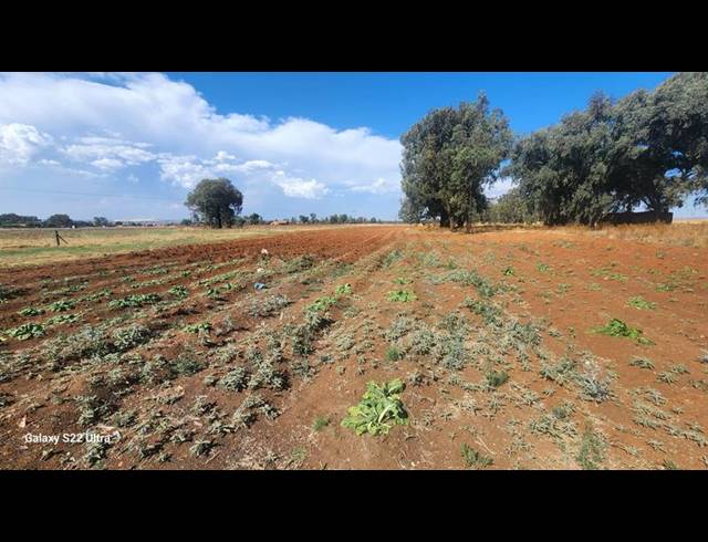 FARM FOR SALE IN ZUURBEKOM